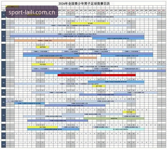 2026来力体育中国官方主站赛事数据操作教程——从入门到实战应用